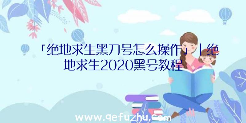 「绝地求生黑刀号怎么操作」|绝地求生2020黑号教程